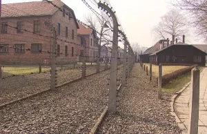 Izraelczyk znieważył pomnik w Auschwitz II-Birkenau. Stanie przed sądem