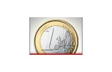 Emmanuel Todd: Euro idzie na przemiał