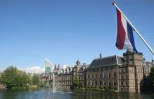 Polacy w Holandii: wykształceni i pracowici