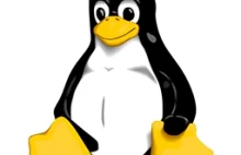 VMware łamie licencję jądra Linux i zostaje pozwane przed niemieckim sądem.