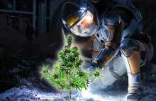 Space Tango będzie uprawiać marihuanę na Międzynarodowej Stacji Kosmicznej