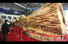 najdłuższa rzeźba wykonana w pniu drzewa na świecie