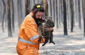 Największe kłamstwa związane z pożarami w Australii