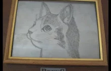 The hard way to draw a cat