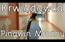 Krwiodawca Pingwin Mroźny