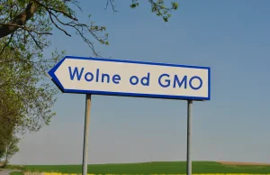 Polska ma być wolna od GMO