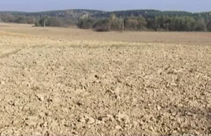 Białoruś: Rolnicy zaorali 1000-letnie kurhany