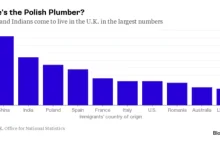 Bloomberg obala mity o "polskim hydrauliku" w UK