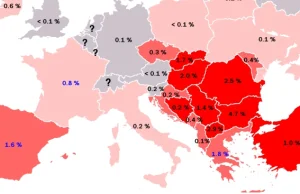 Najnowszy sondaż: Czesi lubią Polaków, nie znoszą Romów i Arabów