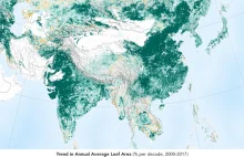 NASA udowadnia, że świat jest bardziej zielony niż 20 lat temu