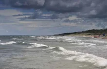 Trzy wraki morskie zostały odkryte w Kołobrzegu.