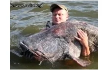 Rekordowy sum złapany w Zalewie Rybnickim! Potwór miał 105 kg!