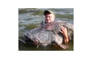 Rekordowy sum złapany w Zalewie Rybnickim! Potwór miał 105 kg!