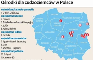 Prosto z mostu - Do jakich miast trafią imigranci w Polsce [MAPA]