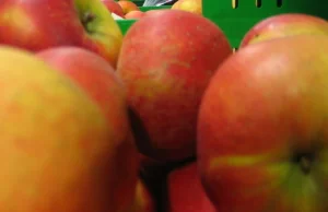 Szwedzi wycofują ze sklepów 19 ton jabłek z Polski