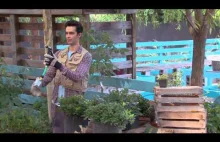 Nowatorskie technologie bezprzewodowe w ogrodnictwie