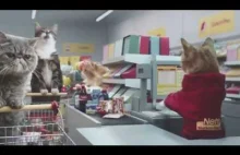 Co by było, gdyby koty chodziły na zakupy?