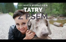 Tatry z psem