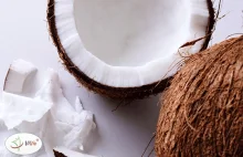 Mleko roślinne – poznaj zalety jego stosowania! +Przepis na mleko kokosowe