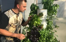 Dzięki niemu możesz cało-rocznie hodować warzywa bez gleby w domowych warunkach!