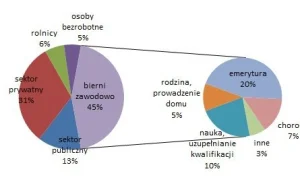 Aktywność zawodowa osób powyżej 15 roku życia