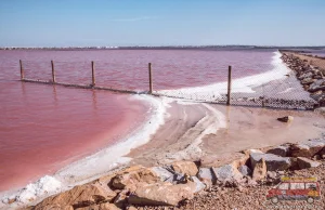 Laguna Salada de Torrevieja - cud natury i jedyne różowe jezioro w Europie