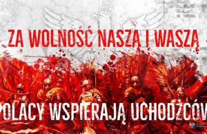 Były lider KOD uważa husarię za obrońców uchodźców