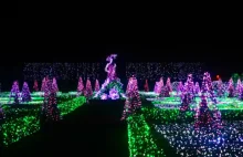 Królewski Ogród Światła (zdjęcia i wideo)