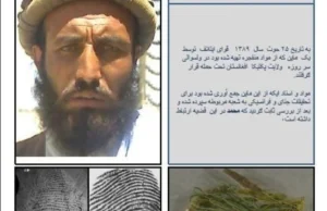 Najmniej rozgarnięty talib w Afganistanie?