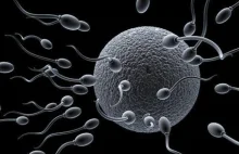 Dawca spermy i jego dziewiętnaścioro dzieci.