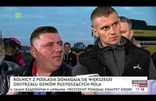 Dzik jest dziki, rolnik jest zły