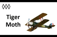 Tiger Moth - Irytujący Historyk