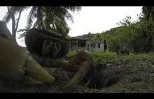 Krab przywłaszcza sobie kamerkę GoPro