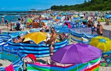 Brudziński o narzekających na „Januszy i Grażyny z plaż”, „kaczorowym”,...