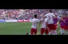 POLSKA VS IRLANDIA PÓŁNOCNA 1-0 REAKCJE POLSKICH KOMENTATORÓW NA GOL MILIKA