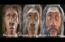 Minutowy film przedstawiający ewolucję ludzkiej twarzy na przestrzeni 6 mln lat