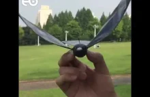 Czy to ptak? Czy to dron? Nie, to ptakodron.