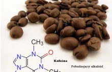 Chromatograficzne oznaczanie zawartości kofeiny w herbacie