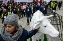 Media rządowe milczą ma temat wczorajszych manifestacji rolników w...