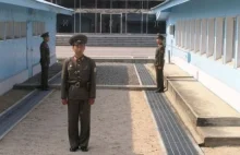 Uciekli z Korei Północnej. Teraz chcą wrócić