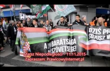 Polacy witają Węgrów z partii Jobbik na Marszu Niepodległości