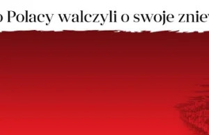 Dzieje głupoty w Polsce międzywojennej - Polskie zniewolenie
