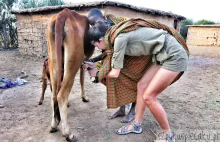 Polka zamieszkała w wiosce Masajów w Kenii!