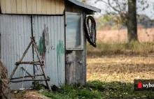 Przebił płuco psu metalowym prętem, a następnie go powiesił. Jest wyrok