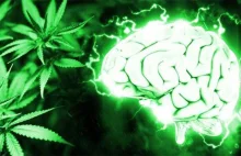 THC może być skutecznym lekiem na demencję i chorobę Alzheimera