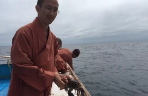 Mnisi kupili 270 kg żywych homarów, aby wrzucić je z powrotem do oceanu -...