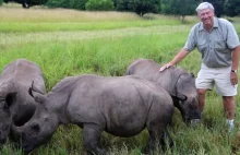 The audacious plan to airlift 80 rhinos to Australia - News