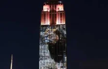 Lew Cecil i 160 zgrożonych gatunków na Empire State Building