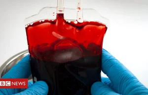 Odkryto enzym zamieniający grupy krwi A i B w uniwersalne „0”