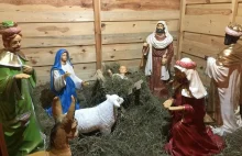 Chciała posiedzieć w bożonarodzeniowej szopce i ogrzać Jezuska...